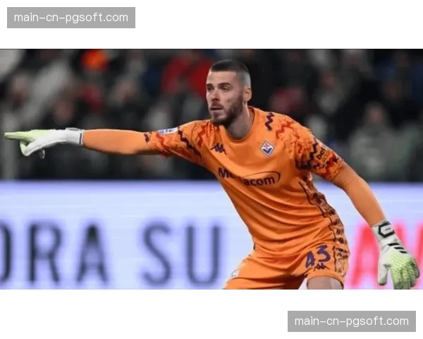 前曼联球星德赫亚宣布退役，结束17年职业生涯